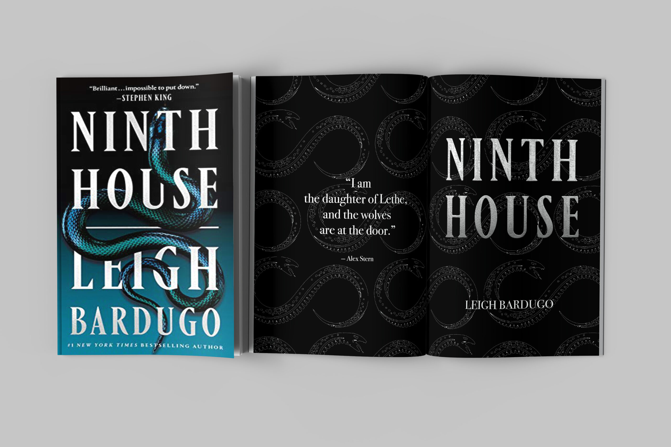 ninth house mockup copy