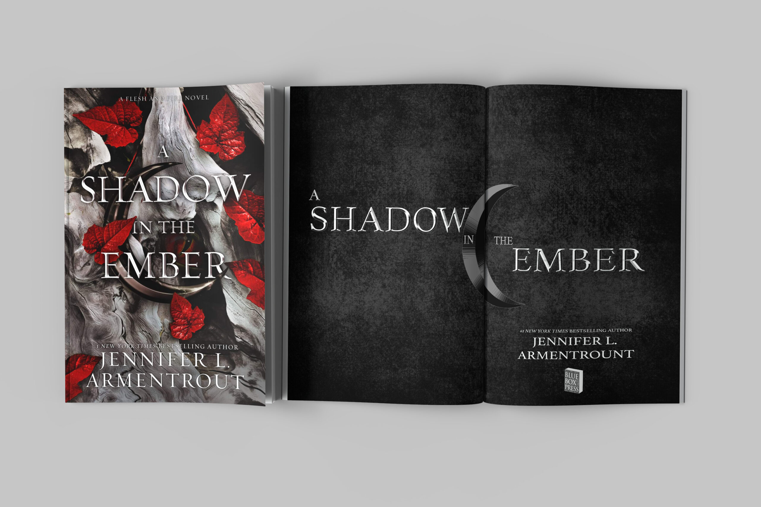 shadow in the ember mockup 2